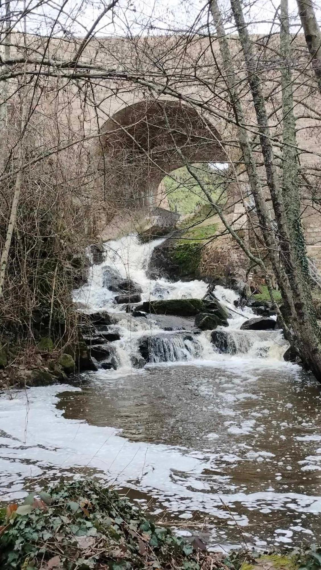 Gite "La Petite" Saint-Benoit-du-Sault Exteriör bild